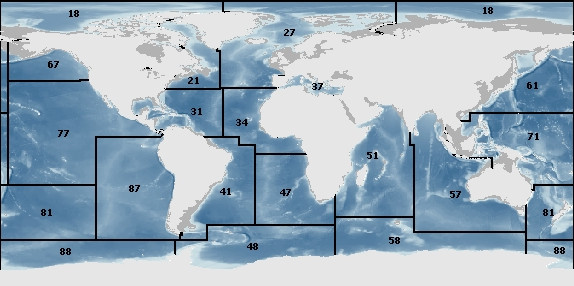 fao fishing areas