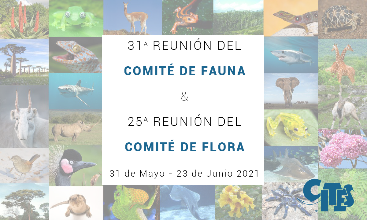Animals and Plants Committees set to meet online.