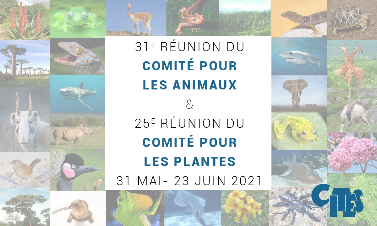 Animals and Plants Committees set to meet online.