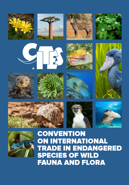 CITES Brochure