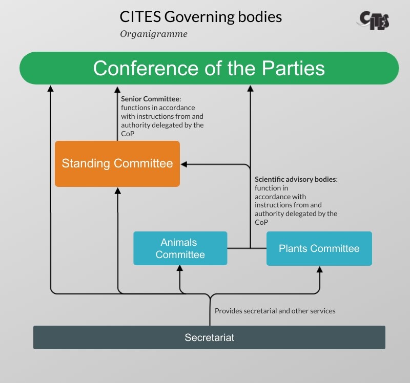CITES_Governing_bodies_structure.jpg 