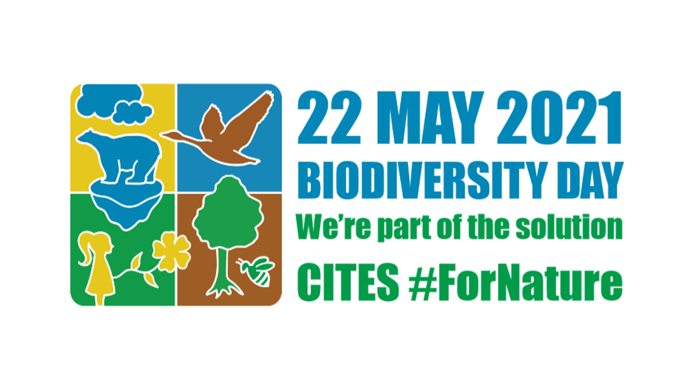 CITES IDB Logo