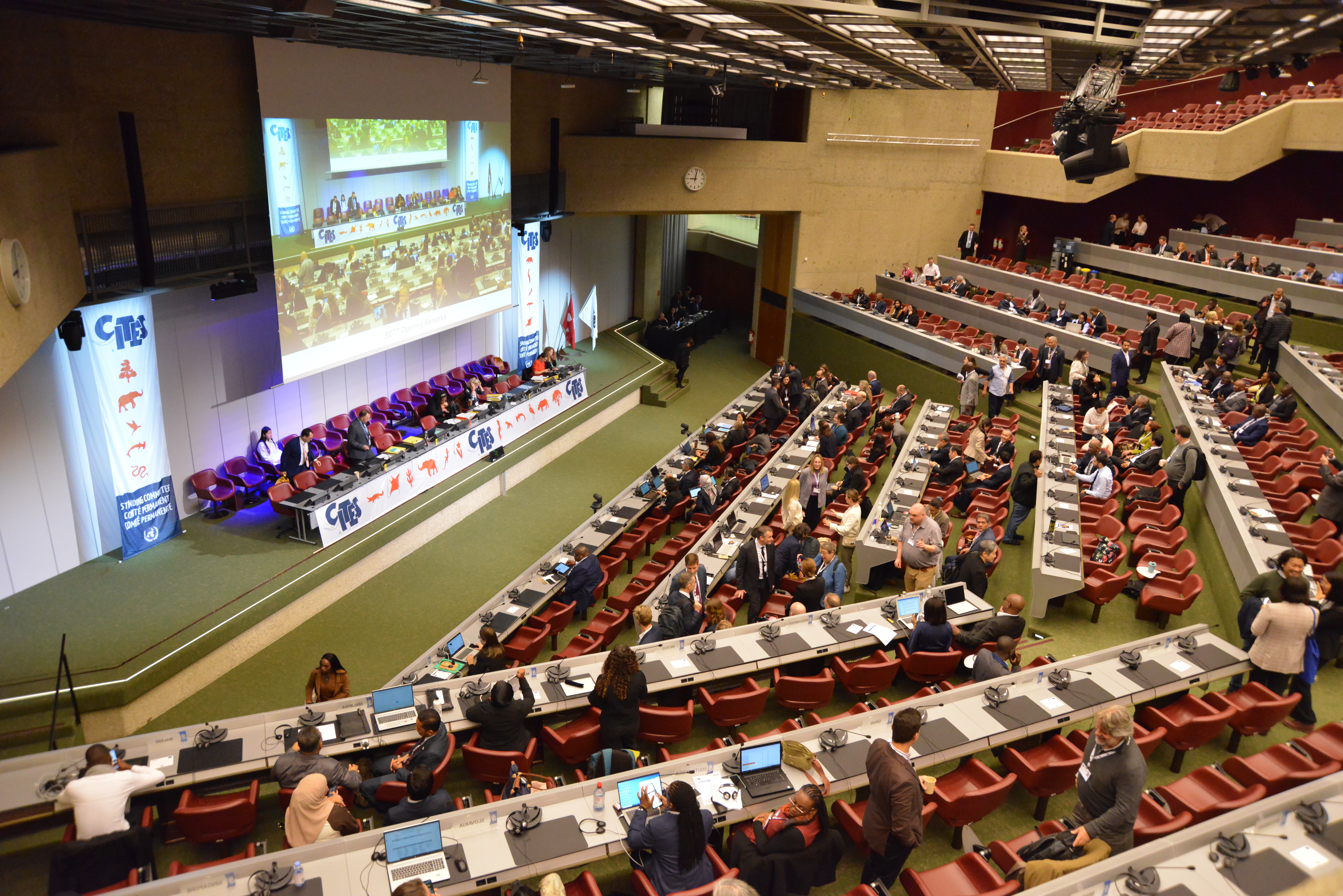 corner view of large conference center seating with stage and projection screen, CITES banners on stage with seated speakers