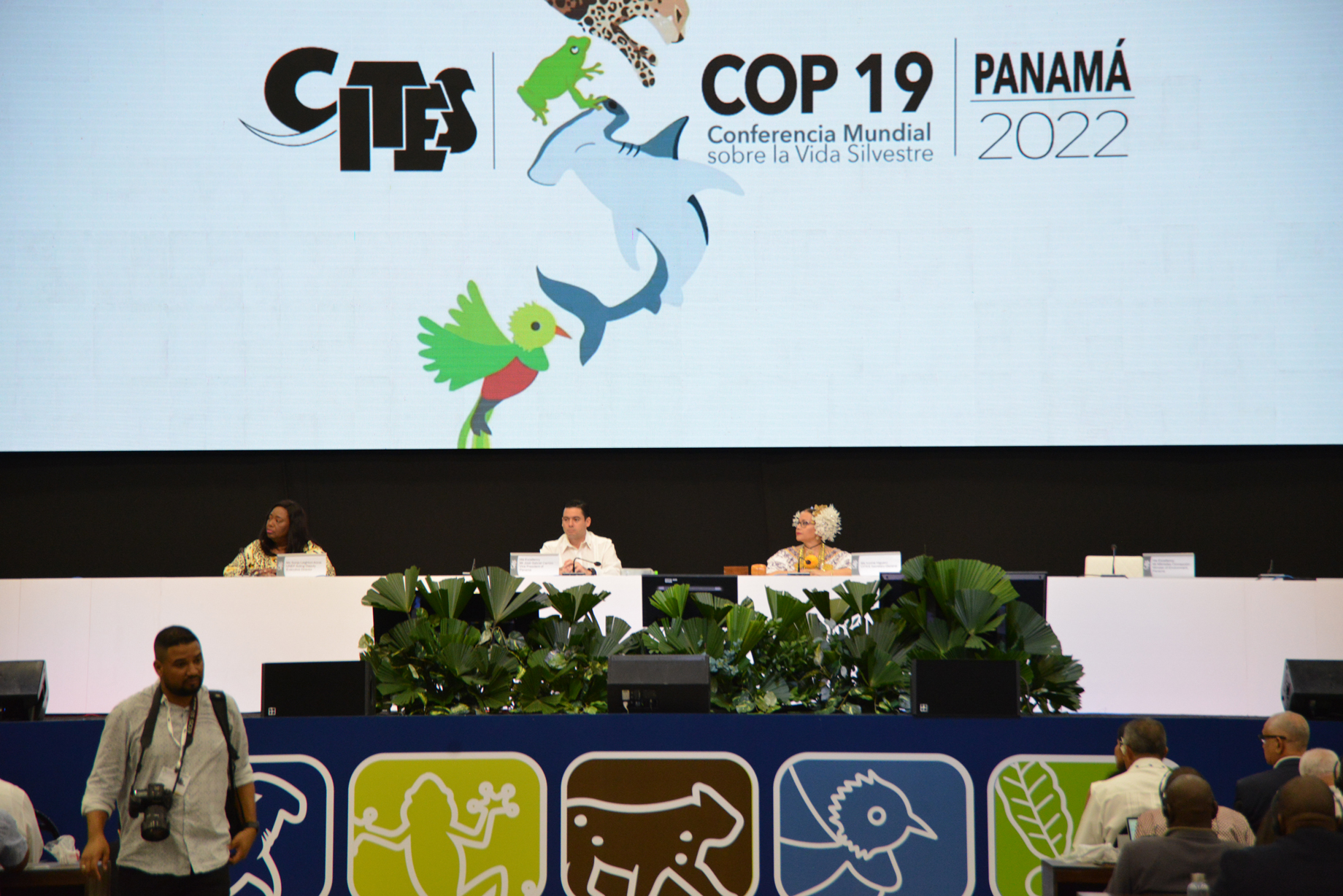Dais at CITES CoP 19
