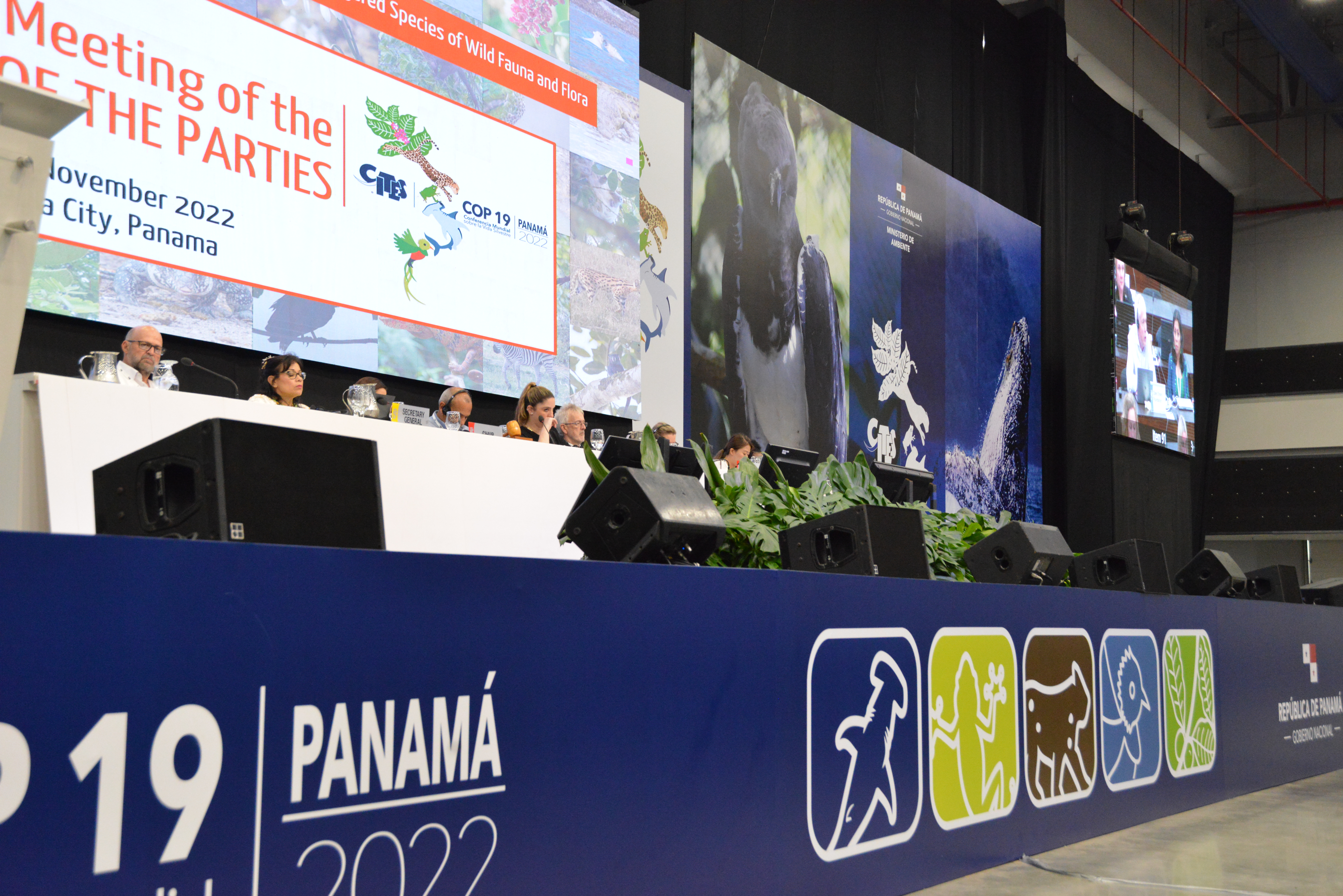 CoP19 Closing