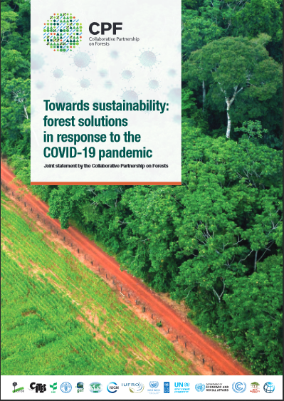 CPF Statement layout