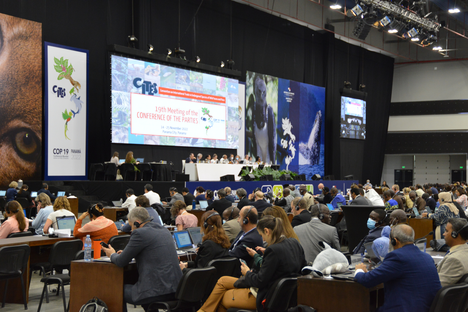CITES CoP19 in Panama
