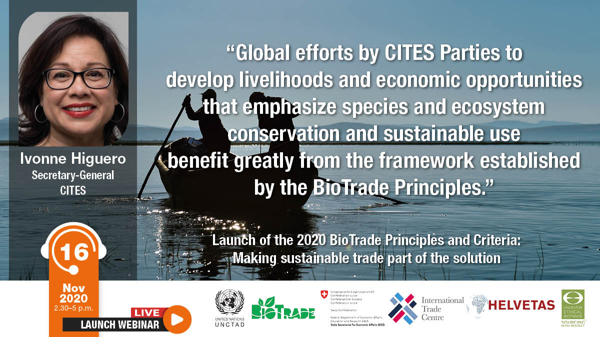 Ivonne Higuero Quote BioTrade Launch
