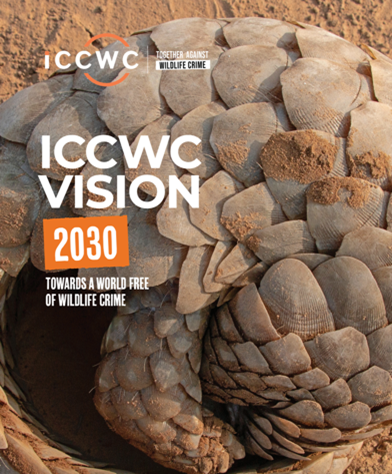 ICCWC Approach