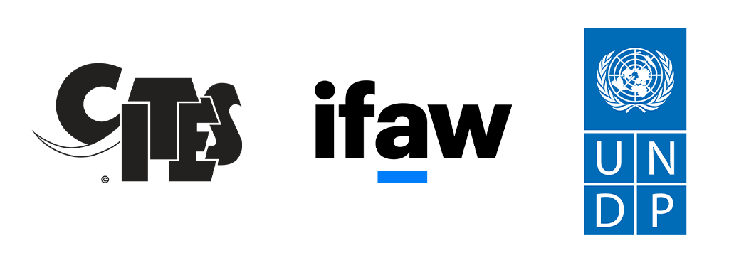 partner logos youth art ifaw CITES UNDP