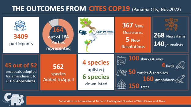 CoP19 Inforgraphic