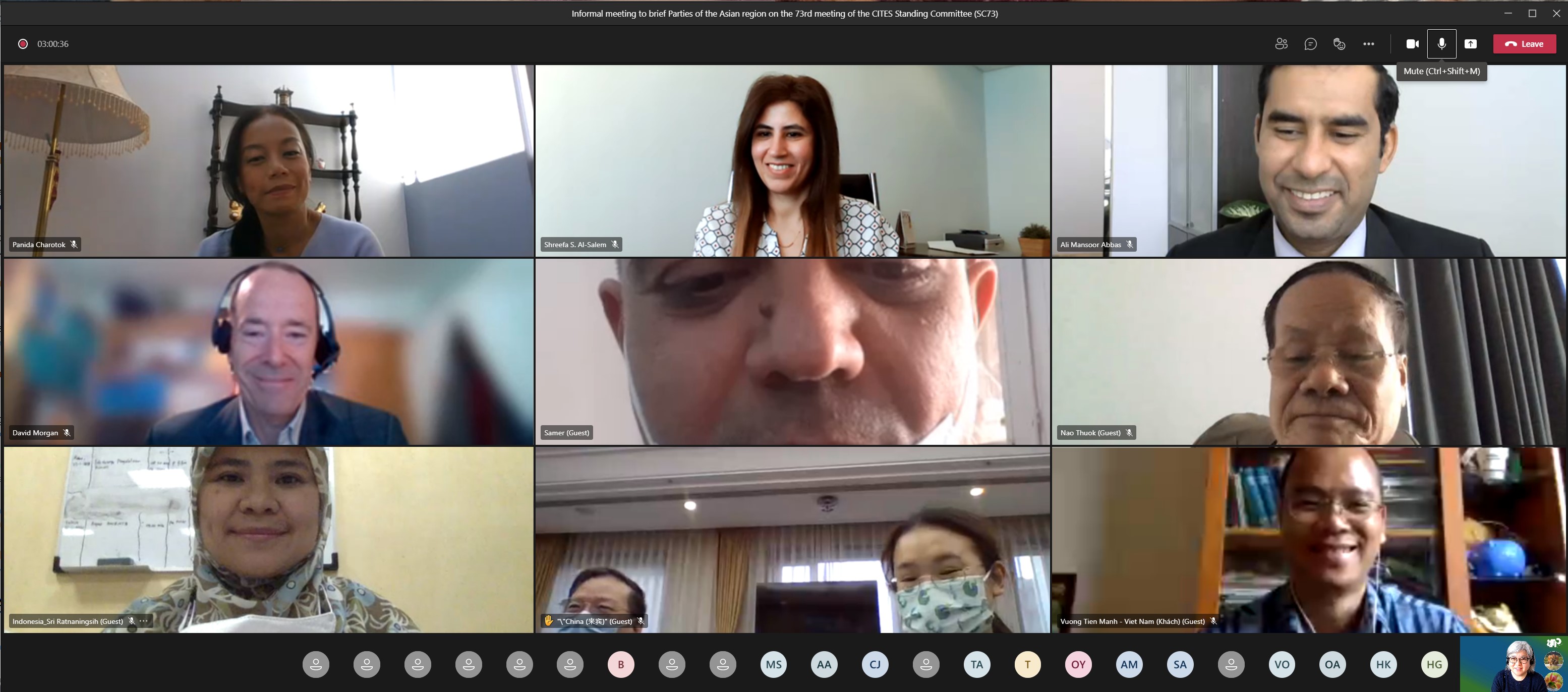 SC73 preparation meetings