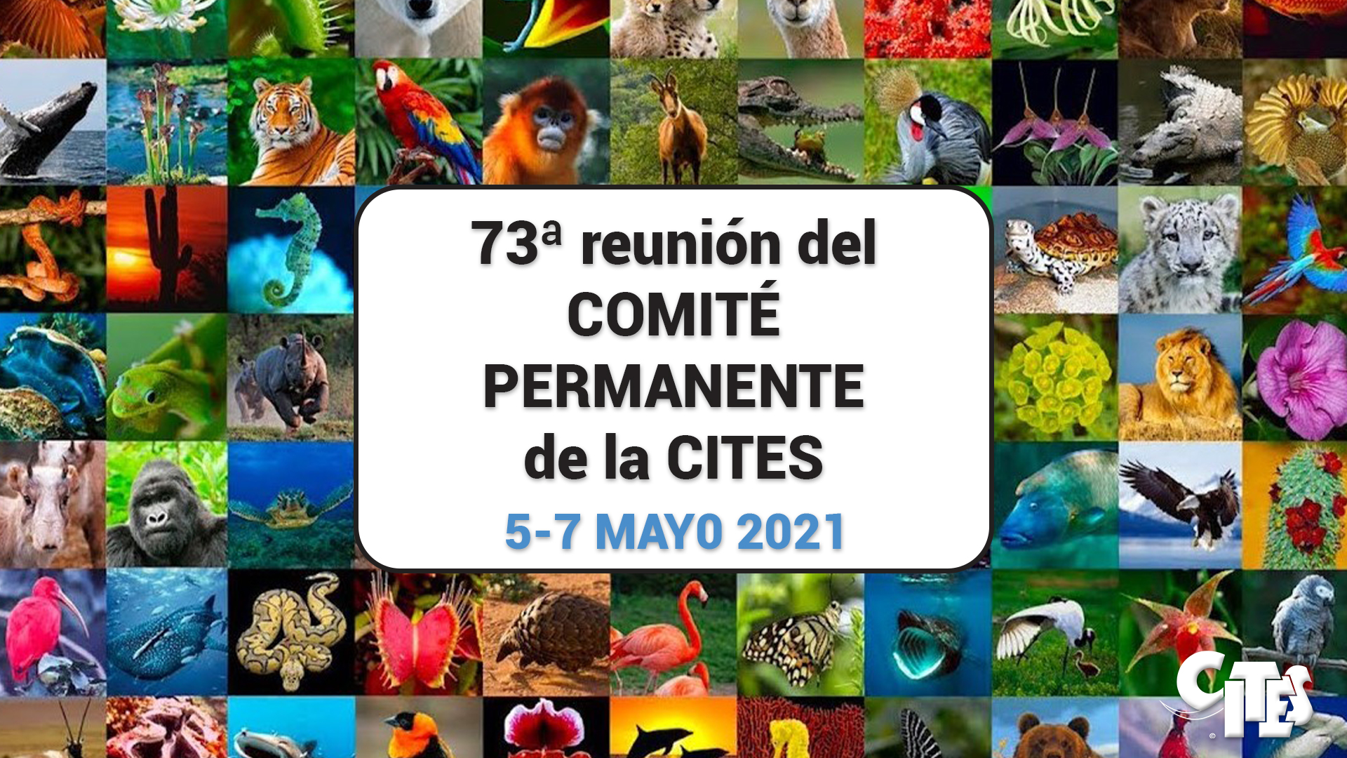 73rd meeting of the CITES Standing Committee