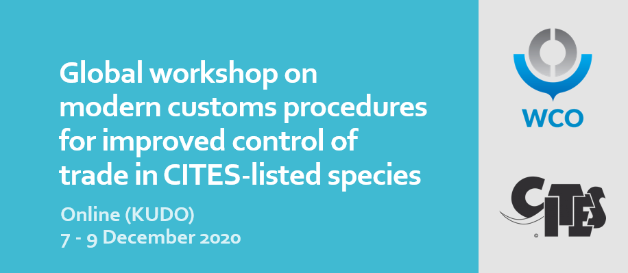 WCO_CITES_workshop_report_visual