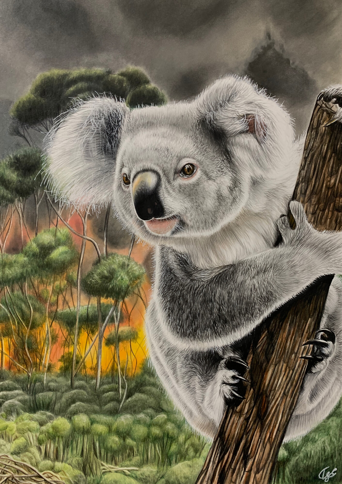 Tiarn Garland's winning entry for the 2020 WWD Youth Art Contest