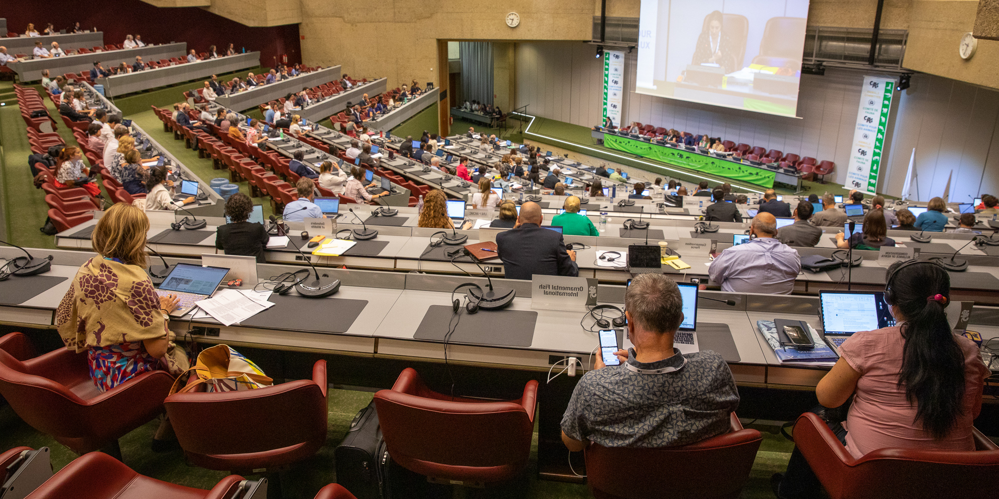 AC32 plenary session conference room view of participants