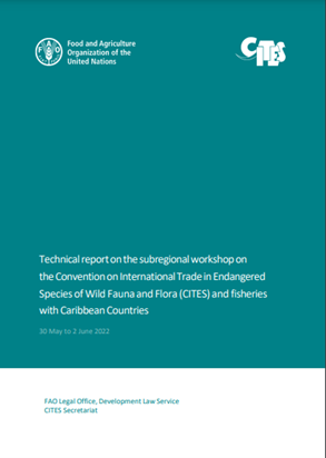 cites_ifs_2023_technical_workshop_report_2