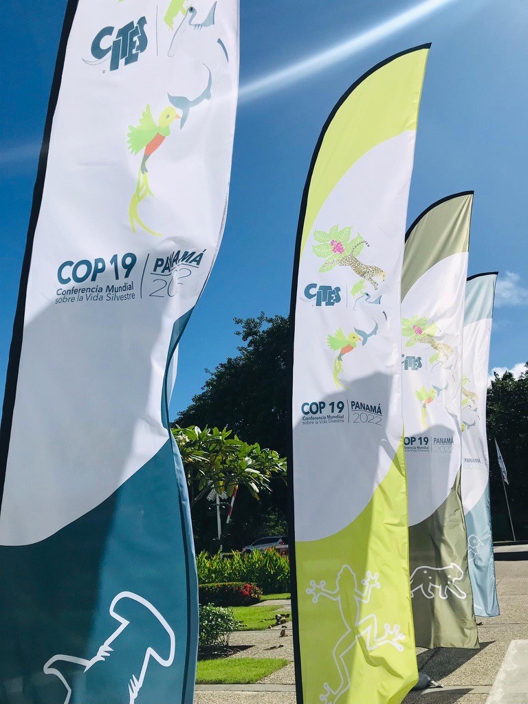 CoP Flags