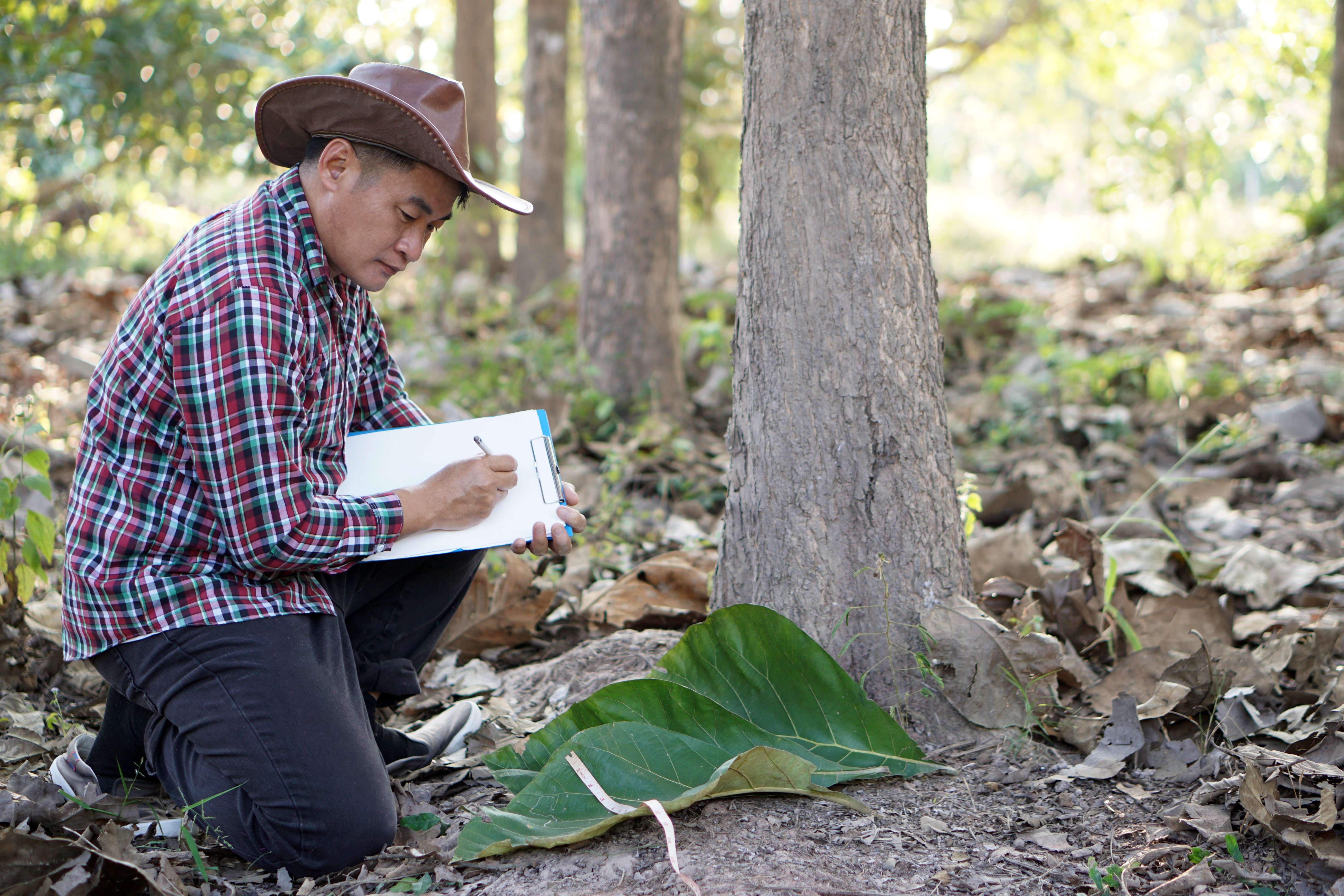 biologist in forest