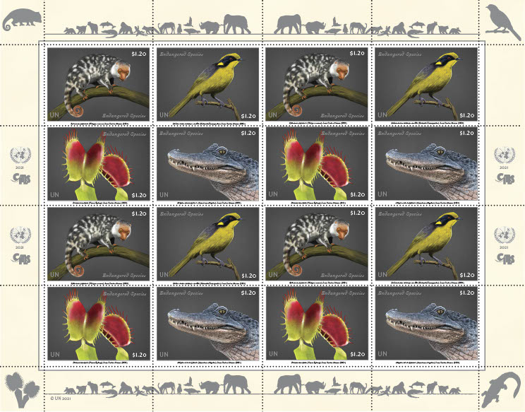 UN Stamps 1