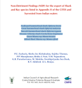 NDF