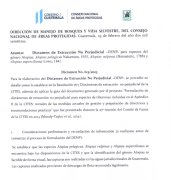 NDF