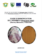 CTSP_P_elata_thumbnail.png 