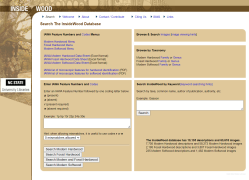 Inside_wood_thumbnail