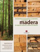 Mexico_timber_macro_2021