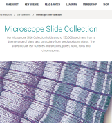 RBG_Kew_microscope_slide