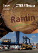 Ramin_thumbnail.png 