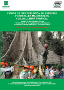 Timber_ID_OSINFOR_thumbnail.png