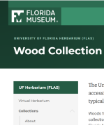 uni_florida.png 