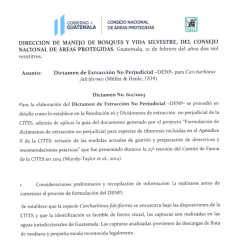 Dictamen de Extracción No Perjudicial para Carcharhinus falciformis