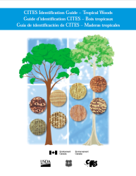 CITES_Trop_Timber_thumbnail.png 