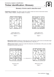 Timber_glossary_thumbnail.png