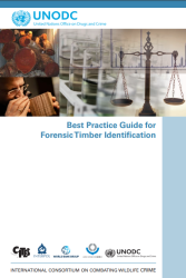 UNODC_Timber.png