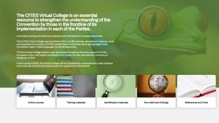 cites virtual college