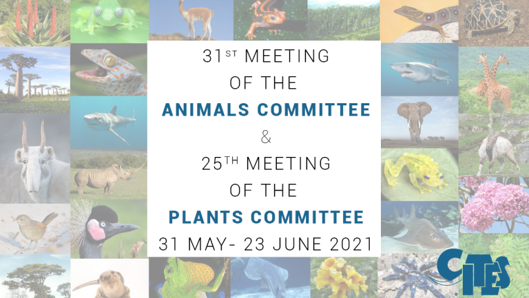 Animals and Plants Committee meetings 2021