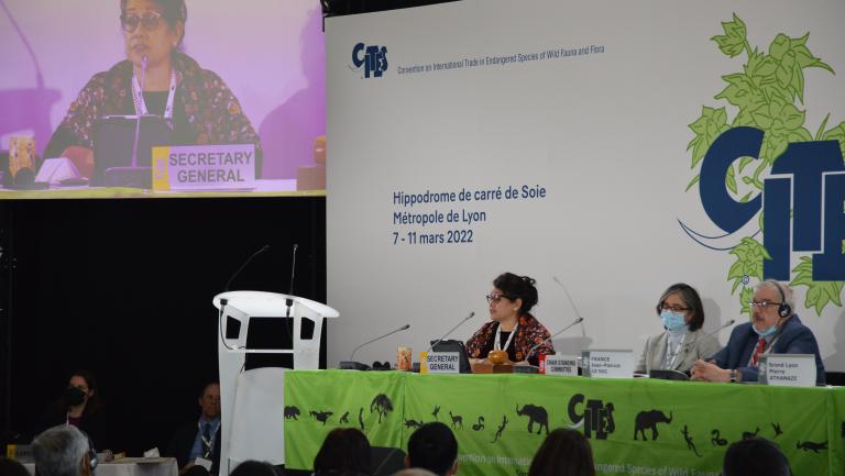 CITES Secretary-General, Ivonne Higuero, speaking at SC74