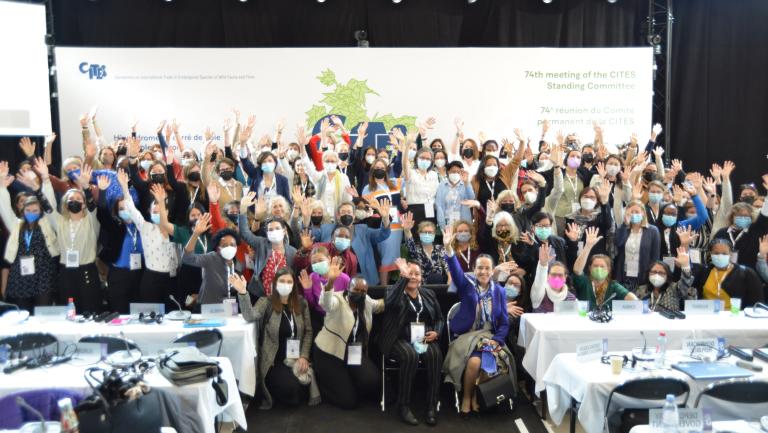 The women delegates to SC74 wish you a Happy International Women's Day