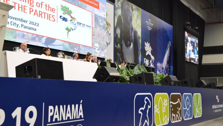 Closing of CoP19