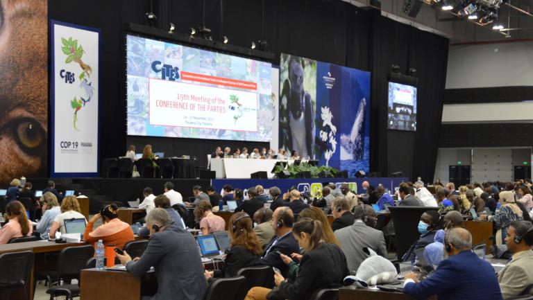 Shot of CITES CoP19 in Panama