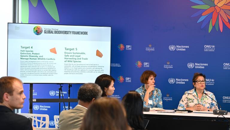 CITES Secretary-General Ivonne Higuero speaking, seated next to tv screen powerpoint slide of KMGBF Targets 4 and 5