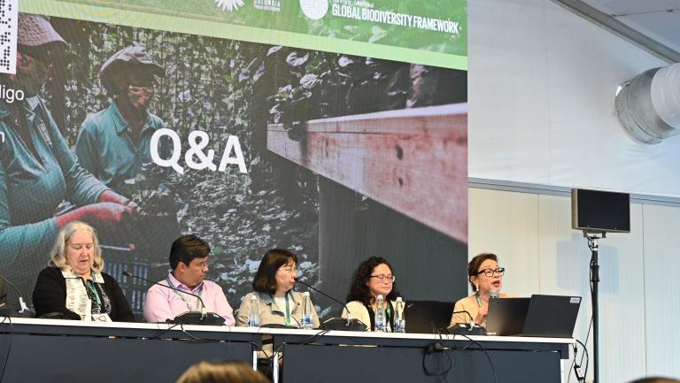 CITES Secretary-General Ivonne Higuero speaks at UN Forest and Water Day, CBD CoP16, Colombia
