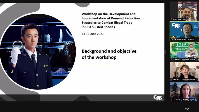 CITES Parties workshop on demand reduction for illegally-sourced wildlife products