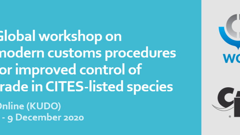 CITES-WCO worrkshop on modern customs procedures